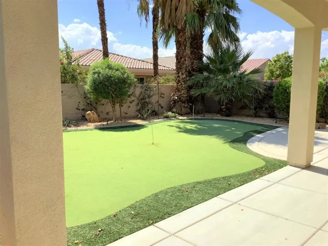 Backyard_1