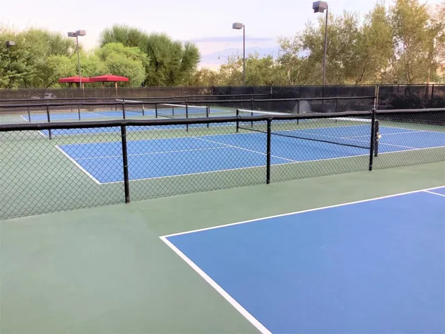 Pickle_Ball