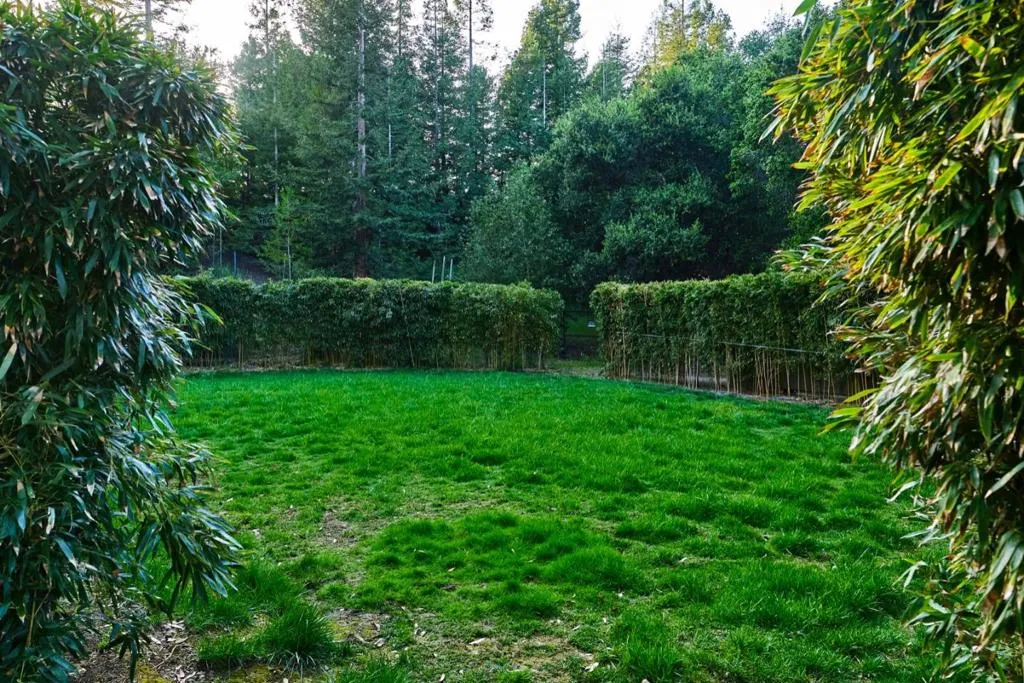 24301 Elise Court, California home-pic-47