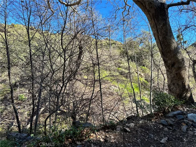 31216 Silverado Canyon Road, Silverado Canyon, California 92676