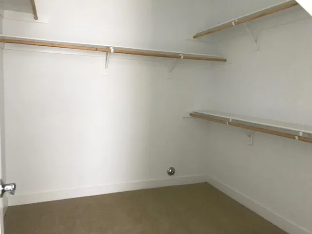Master Closet