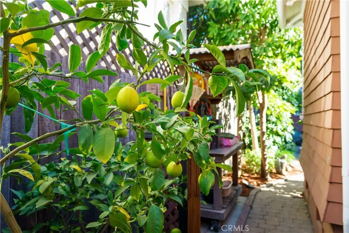 1225 Pismo Street, San Luis Obispo, California 93401