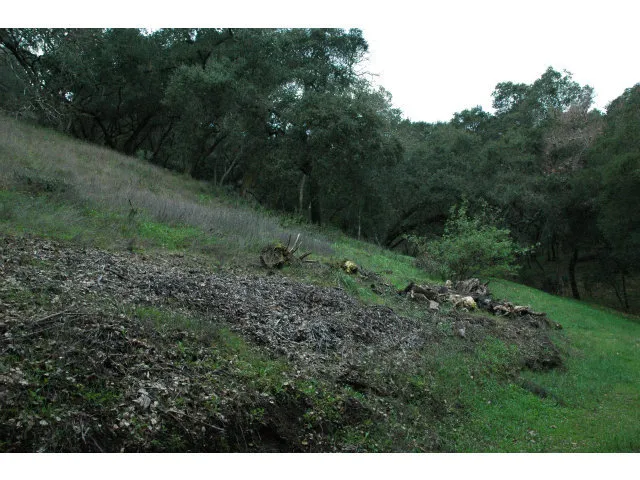 3005 Tohara Way, Morgan Hill, California 95037