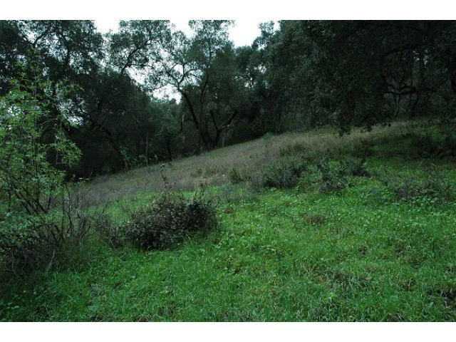 3005 Tohara Way, Morgan Hill, California 95037