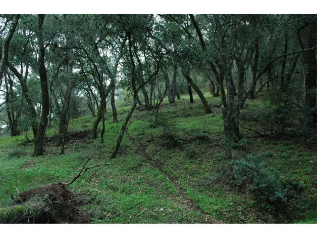 3005 Tohara Way, Morgan Hill, California 95037