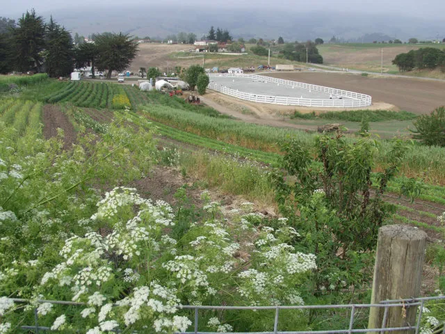 613 Lakeview Road, Watsonville, California 95076
