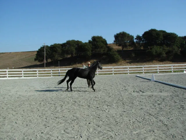 613 Lakeview Road, Watsonville, California 95076