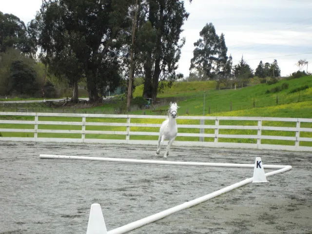 613 Lakeview Road, Watsonville, California 95076