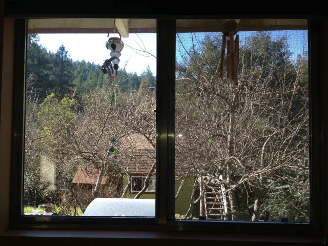 205 Apple Knoll Drive, Boulder Creek, California 95006