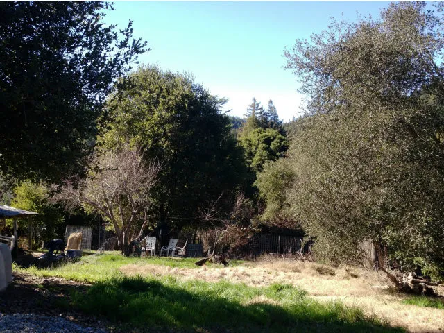 205 Apple Knoll Drive, Boulder Creek, California 95006