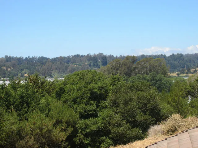 141 Corona Court, Watsonville, California 95076