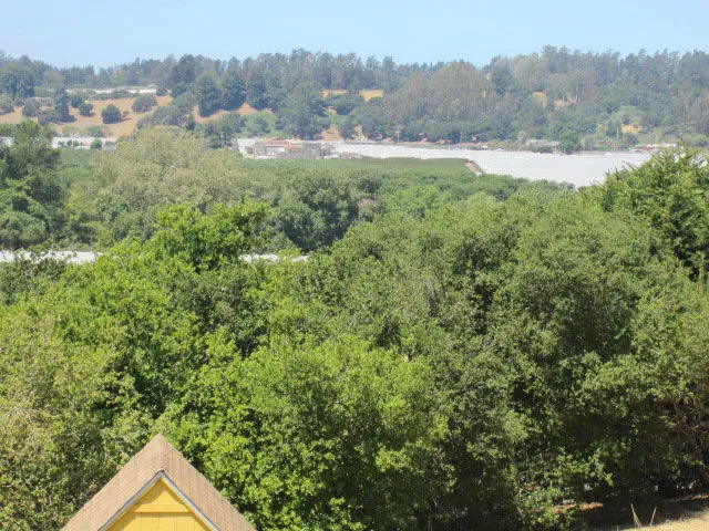 141 Corona Court, Watsonville, California 95076