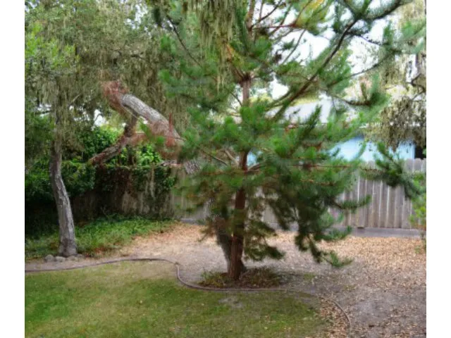 2864 Forest Lodge Road, Pebble Beach, California 93953