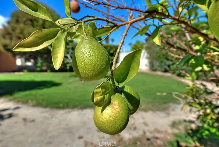 68020 Encinitas Road, Cathedral City, California 92234