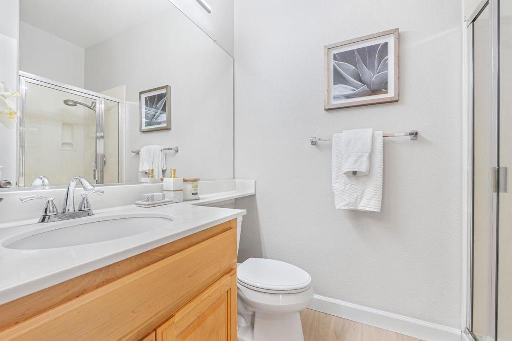 244 Primrose Drive, California home-pic-23