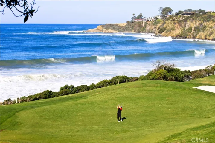 29 Wimbledon Court, Dana Point, California 92629