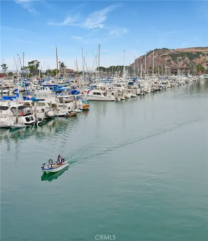 29 Wimbledon Court, Dana Point, California 92629