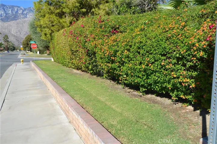 Side yard hedge and grass area.