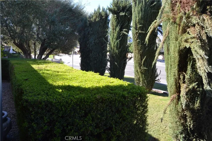 Mature landscaping