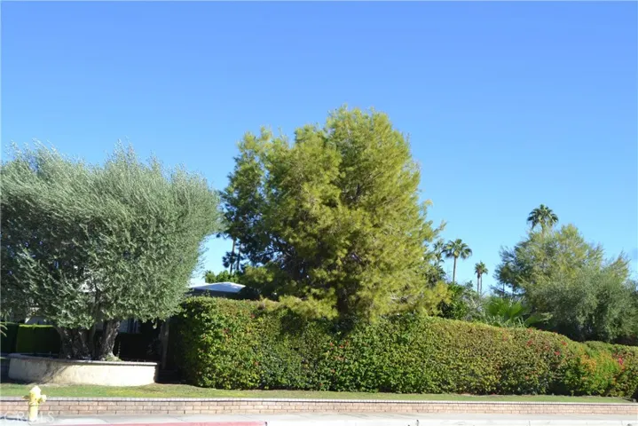 Side yard hedge