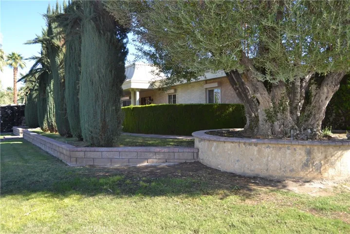 Front yard