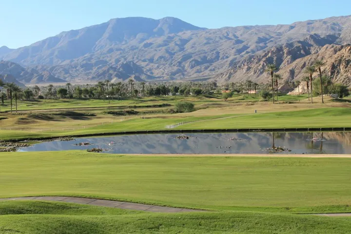 VIEW 8