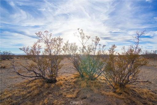 0 Trenton Rd, Adelanto, California 92301