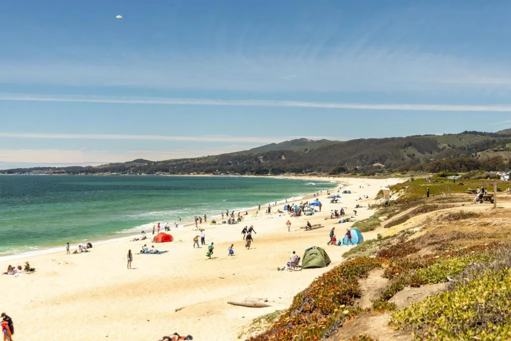 Myrtle, Half Moon Bay, California 94019 home-pic-4