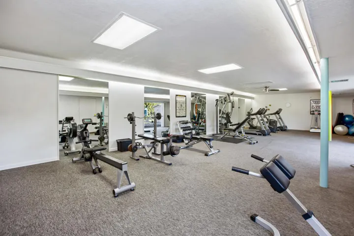 DB GYM