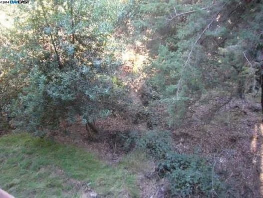 6343 Girvin Dr, Oakland, California 94611