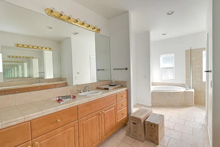 d - master bath tub