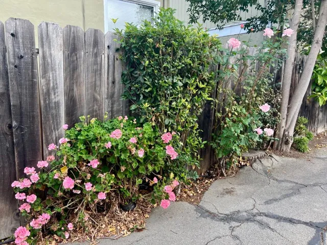 127 22nd Avenue, San Mateo, California 94403