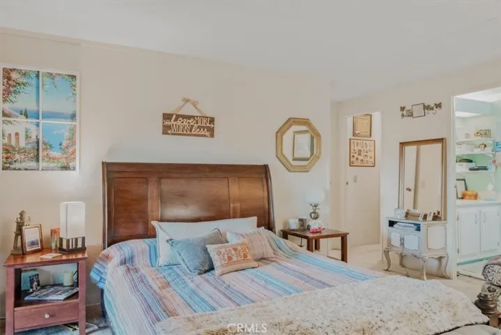 Primary bedroom with a walk in closet