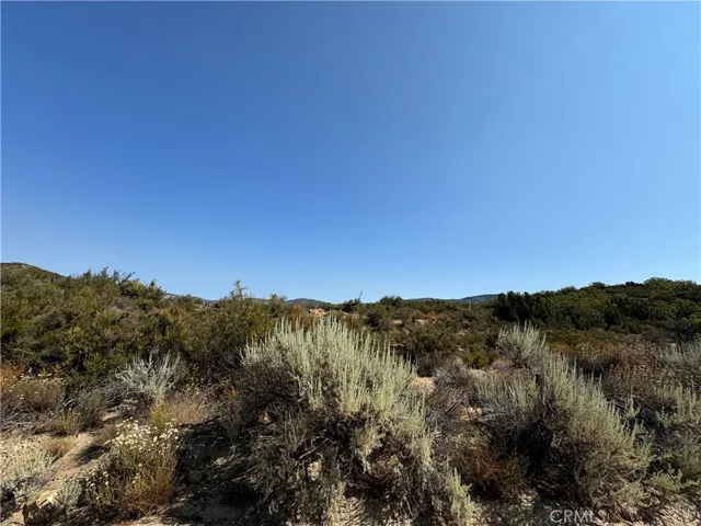 20 Comanche Trail, Anza, California 92539