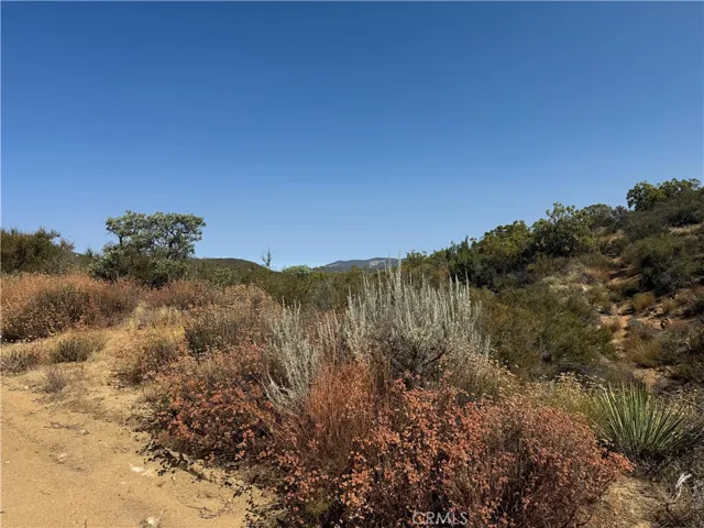 20 Comanche Trail, Anza, California 92539