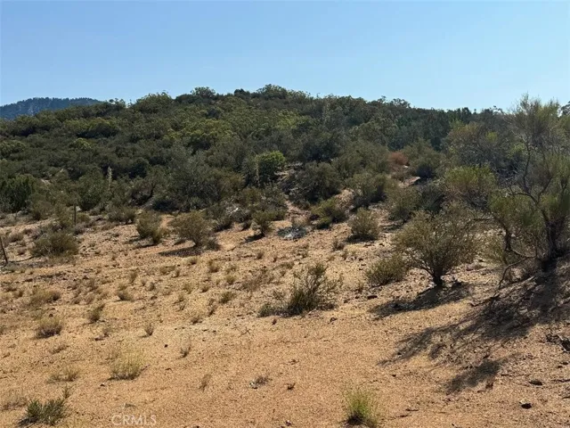 20 Comanche Trail, Anza, California 92539
