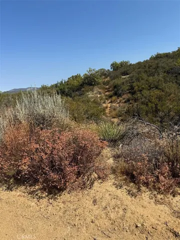 20 Comanche Trail, Anza, California 92539