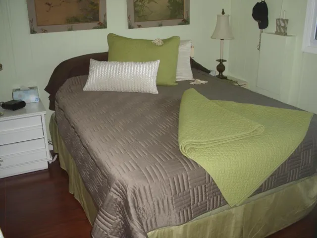 DSCI0001