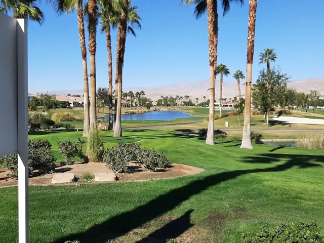 Grassy area by main pool