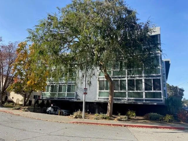 6 Seville Way 303, San Mateo, California 94402