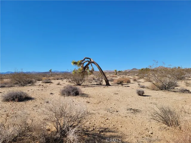 43 S Cambria Avenue, Yucca Valley, California 92285