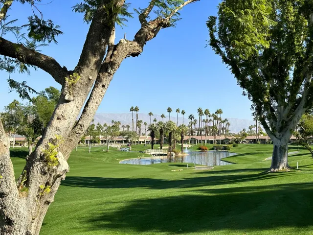 RunningSprings388#28