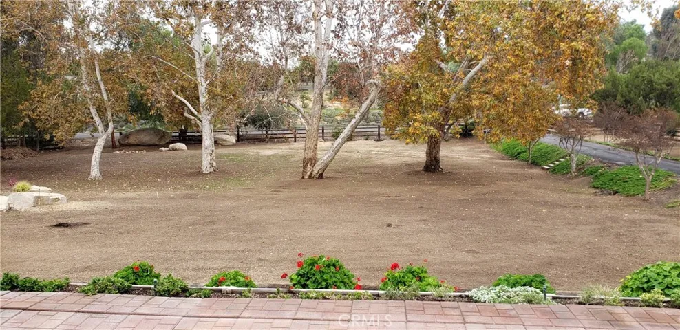 view from front porch towards the street