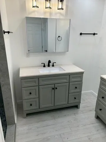 Master dual vanities