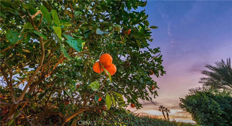 74139 Via Pellestrina, Palm Desert, California 92260