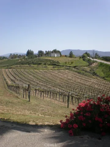 TEMECULAS  FIRST  vINEYARD  PALNED IN 1968 pETITE  sIRAH  AWARD  WINNER