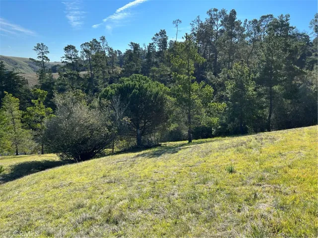 0 Linden Court, Cambria, California 93428