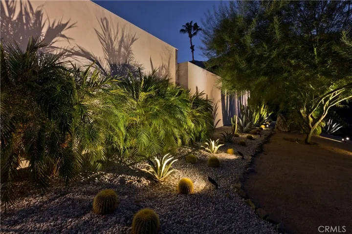 Side Yard