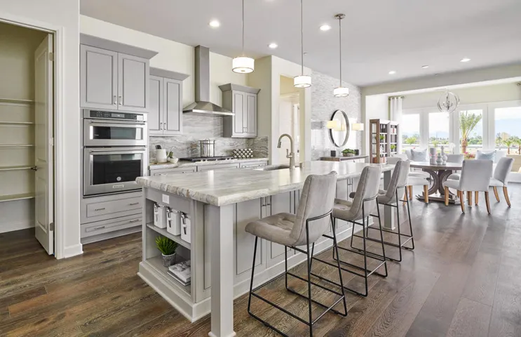 The Preserve Model Home