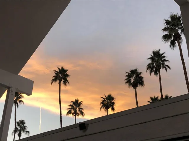 SunsetPalms